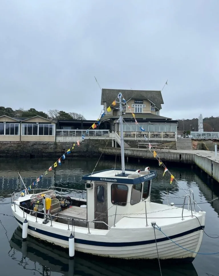 M/S Blomstermåla vid bryggan